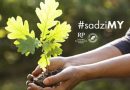 Zapraszamy po sadzonki drzew – Czwarta edycja akcji #sadziMY