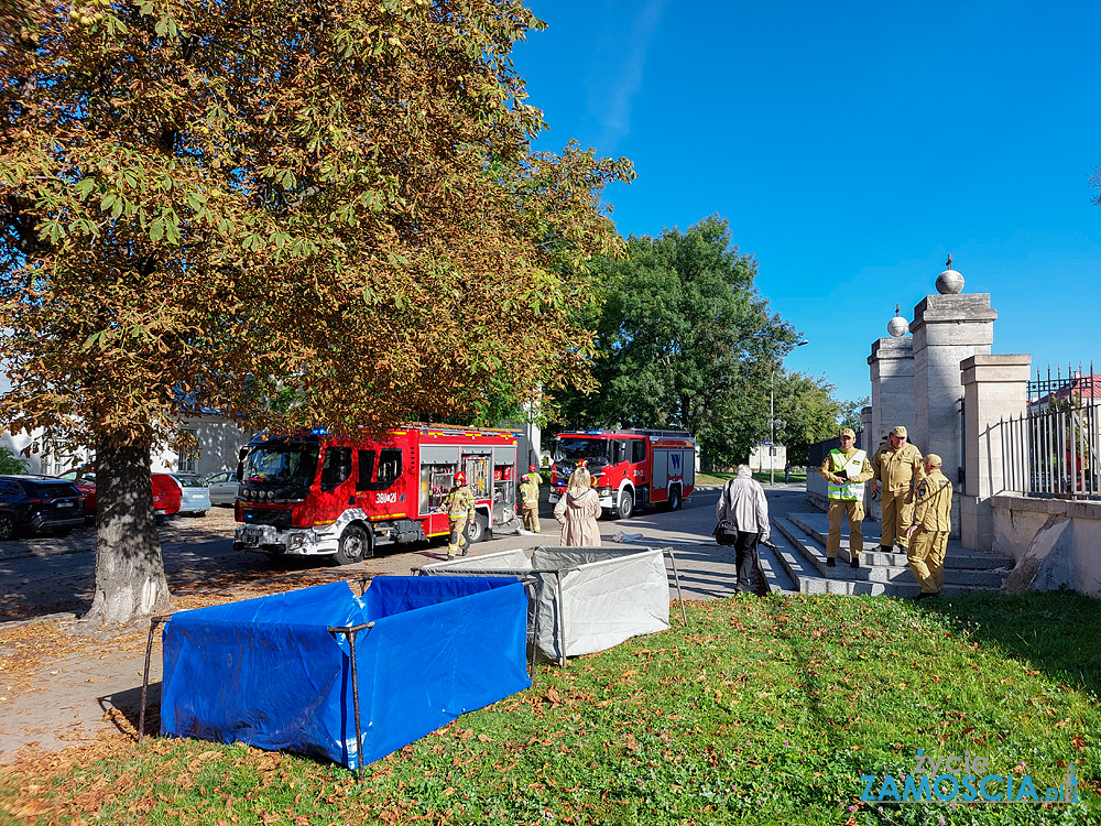 aktualności Zamość akcje charytatywne Zamość architektura Zamość atrakcje turystyczne Zamość baseny Zamość biegi uliczne Zamość biblioteki Zamość biznes Zamość dziedzictwo kulturowe Zamość eventy Zamość festiwale Zamość fitness Zamość galeria sztuki Zamość historia Zamość hotele Zamość imprezy kulturalne Zamość inicjatywy społeczne Zamość informacje Zamość inwestycje Zamość kino w Zamościu kluby muzyczne Zamość kluby sportowe Zamość koncerty muzyczne Zamość koncerty Zamość konferencje biznesowe Zamość kursy i szkolenia Zamość kawiarnie Zamość kulturalne Zamość lokalne firmy Zamość lokalne wiadomości Zamość maratony Zamość muzea Zamość muzeum Zamość noclegi Zamość oferty pracy Zamość organizacje pozarządowe Zamość parki Zamość pomoc społeczna Zamość portal informacyjny Zamość przedsiębiorstwa Zamość praca Zamość przewodnik po Zamościu projekcje filmowe Zamość rekonstrukcje historyczne Zamość restauracje Zamość rynek pracy Zamość siłownie Zamość spacery po Zamościu spektakle teatralne Zamość spotkania autorskie Zamość spotkania mieszkańców Zamość szkoły Zamość szlaki turystyczne Zamość targi biznesowe Zamość teatr w Zamościu turnieje sportowe Zamość uniwersytety Zamość wydarzenia edukacyjne Zamość wydarzenia historyczne Zamość wydarzenia kulturalne Zamość wydarzenia społeczne Zamość wydarzenia w Zamościu wiadomości z Zamościa wolontariat Zamość wykłady Zamość warsztaty artystyczne Zamość warsztaty Zamość wyścigi rowerowe Zamość wystawy artystyczne Zamość wystawy Zamość zabytki Zamościa zabytki Zamość zawody sportowe Zamość zamojska społeczność życie w Zamościu zwiedzanie Zamość Akademia Zamość radio zamość imprezy zamość