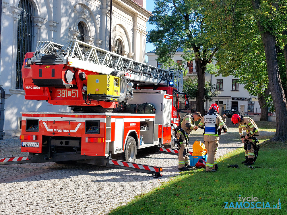 aktualności Zamość akcje charytatywne Zamość architektura Zamość atrakcje turystyczne Zamość baseny Zamość biegi uliczne Zamość biblioteki Zamość biznes Zamość dziedzictwo kulturowe Zamość eventy Zamość festiwale Zamość fitness Zamość galeria sztuki Zamość historia Zamość hotele Zamość imprezy kulturalne Zamość inicjatywy społeczne Zamość informacje Zamość inwestycje Zamość kino w Zamościu kluby muzyczne Zamość kluby sportowe Zamość koncerty muzyczne Zamość koncerty Zamość konferencje biznesowe Zamość kursy i szkolenia Zamość kawiarnie Zamość kulturalne Zamość lokalne firmy Zamość lokalne wiadomości Zamość maratony Zamość muzea Zamość muzeum Zamość noclegi Zamość oferty pracy Zamość organizacje pozarządowe Zamość parki Zamość pomoc społeczna Zamość portal informacyjny Zamość przedsiębiorstwa Zamość praca Zamość przewodnik po Zamościu projekcje filmowe Zamość rekonstrukcje historyczne Zamość restauracje Zamość rynek pracy Zamość siłownie Zamość spacery po Zamościu spektakle teatralne Zamość spotkania autorskie Zamość spotkania mieszkańców Zamość szkoły Zamość szlaki turystyczne Zamość targi biznesowe Zamość teatr w Zamościu turnieje sportowe Zamość uniwersytety Zamość wydarzenia edukacyjne Zamość wydarzenia historyczne Zamość wydarzenia kulturalne Zamość wydarzenia społeczne Zamość wydarzenia w Zamościu wiadomości z Zamościa wolontariat Zamość wykłady Zamość warsztaty artystyczne Zamość warsztaty Zamość wyścigi rowerowe Zamość wystawy artystyczne Zamość wystawy Zamość zabytki Zamościa zabytki Zamość zawody sportowe Zamość zamojska społeczność życie w Zamościu zwiedzanie Zamość Akademia Zamość radio zamość imprezy zamość