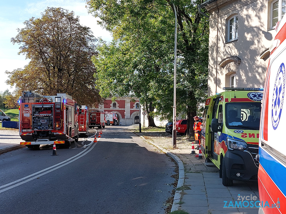 aktualności Zamość akcje charytatywne Zamość architektura Zamość atrakcje turystyczne Zamość baseny Zamość biegi uliczne Zamość biblioteki Zamość biznes Zamość dziedzictwo kulturowe Zamość eventy Zamość festiwale Zamość fitness Zamość galeria sztuki Zamość historia Zamość hotele Zamość imprezy kulturalne Zamość inicjatywy społeczne Zamość informacje Zamość inwestycje Zamość kino w Zamościu kluby muzyczne Zamość kluby sportowe Zamość koncerty muzyczne Zamość koncerty Zamość konferencje biznesowe Zamość kursy i szkolenia Zamość kawiarnie Zamość kulturalne Zamość lokalne firmy Zamość lokalne wiadomości Zamość maratony Zamość muzea Zamość muzeum Zamość noclegi Zamość oferty pracy Zamość organizacje pozarządowe Zamość parki Zamość pomoc społeczna Zamość portal informacyjny Zamość przedsiębiorstwa Zamość praca Zamość przewodnik po Zamościu projekcje filmowe Zamość rekonstrukcje historyczne Zamość restauracje Zamość rynek pracy Zamość siłownie Zamość spacery po Zamościu spektakle teatralne Zamość spotkania autorskie Zamość spotkania mieszkańców Zamość szkoły Zamość szlaki turystyczne Zamość targi biznesowe Zamość teatr w Zamościu turnieje sportowe Zamość uniwersytety Zamość wydarzenia edukacyjne Zamość wydarzenia historyczne Zamość wydarzenia kulturalne Zamość wydarzenia społeczne Zamość wydarzenia w Zamościu wiadomości z Zamościa wolontariat Zamość wykłady Zamość warsztaty artystyczne Zamość warsztaty Zamość wyścigi rowerowe Zamość wystawy artystyczne Zamość wystawy Zamość zabytki Zamościa zabytki Zamość zawody sportowe Zamość zamojska społeczność życie w Zamościu zwiedzanie Zamość Akademia Zamość radio zamość imprezy zamość