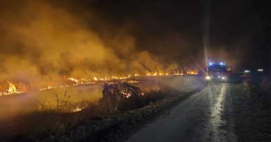 Inspekcja Jakości Handlowej Artykułów Rolno-Spożywczych (IJHARS) stwierdziła nieprawidłowości w oznakowaniu co dziesiątej partii mięsa wieprzowego oferowanego w sklepach wielkopowierzchniowych na terenie Polski. „Na mięsie powinna znajdować się informacja o kraju chowu oraz o kraju, w którym ubito zwierzę. Najpoważniejszymi stwierdzonymi nieprawidłowościami było zafałszowanie informacji co do kraju pochodzenia mięsa” - mówi dr Przemysław Rzodkiewicz, Główny Inspektor Jakości Handlowej Artykułów Rolno-Spożywczych. Fałszowanie informacji o pochodzeniu żywności zagrożone jest karą finansową w wysokości od tysiąca złotych do 10 proc. rocznego przychodu. Szczegółowe wyniki kontroli w linku. Źródło informacji: PAP MediaRoom