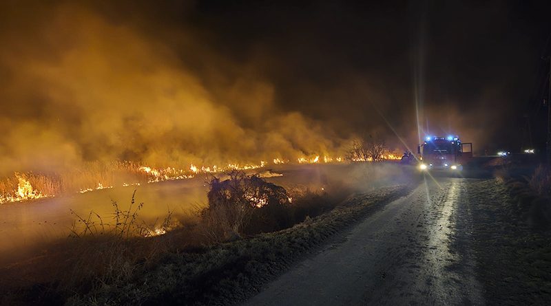 Inspekcja Jakości Handlowej Artykułów Rolno-Spożywczych (IJHARS) stwierdziła nieprawidłowości w oznakowaniu co dziesiątej partii mięsa wieprzowego oferowanego w sklepach wielkopowierzchniowych na terenie Polski. „Na mięsie powinna znajdować się informacja o kraju chowu oraz o kraju, w którym ubito zwierzę. Najpoważniejszymi stwierdzonymi nieprawidłowościami było zafałszowanie informacji co do kraju pochodzenia mięsa” - mówi dr Przemysław Rzodkiewicz, Główny Inspektor Jakości Handlowej Artykułów Rolno-Spożywczych. Fałszowanie informacji o pochodzeniu żywności zagrożone jest karą finansową w wysokości od tysiąca złotych do 10 proc. rocznego przychodu. Szczegółowe wyniki kontroli w linku. Źródło informacji: PAP MediaRoom